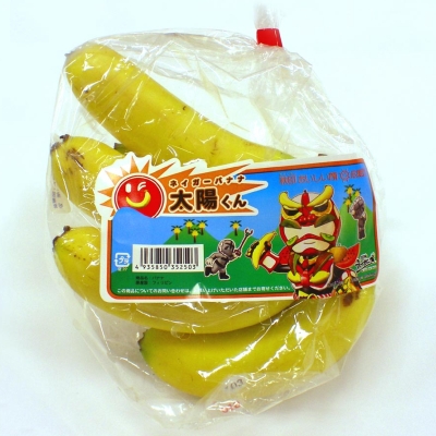 ���ĤΤ����ϥ���饯��������Ѥ����֥ͥ������Хʥʡ�ȯ��